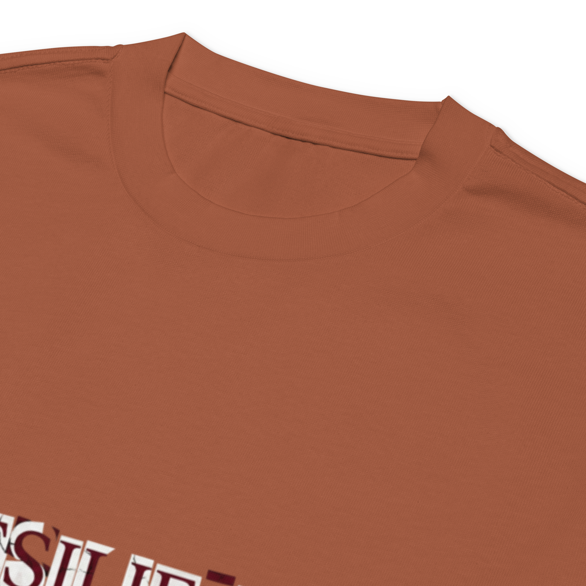 Premium heavyweight long sleeve shirt